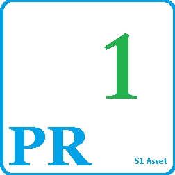 风险等级PR1
